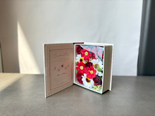 Soap Book